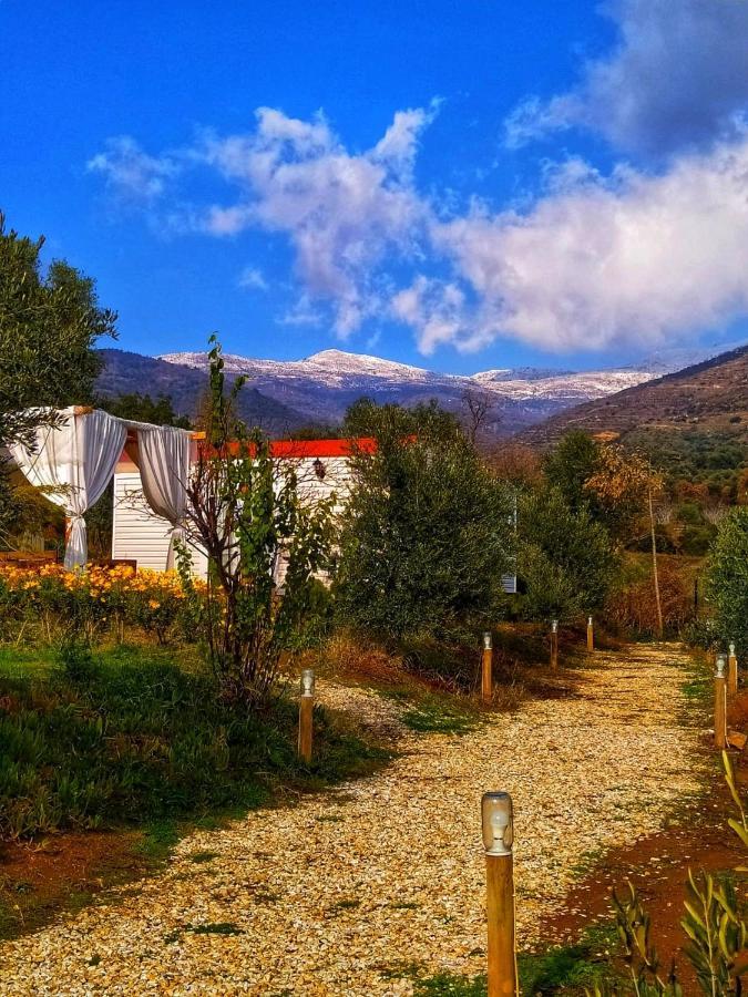 Hayal Tadinda Hotell İzmir Eksteriør bilde